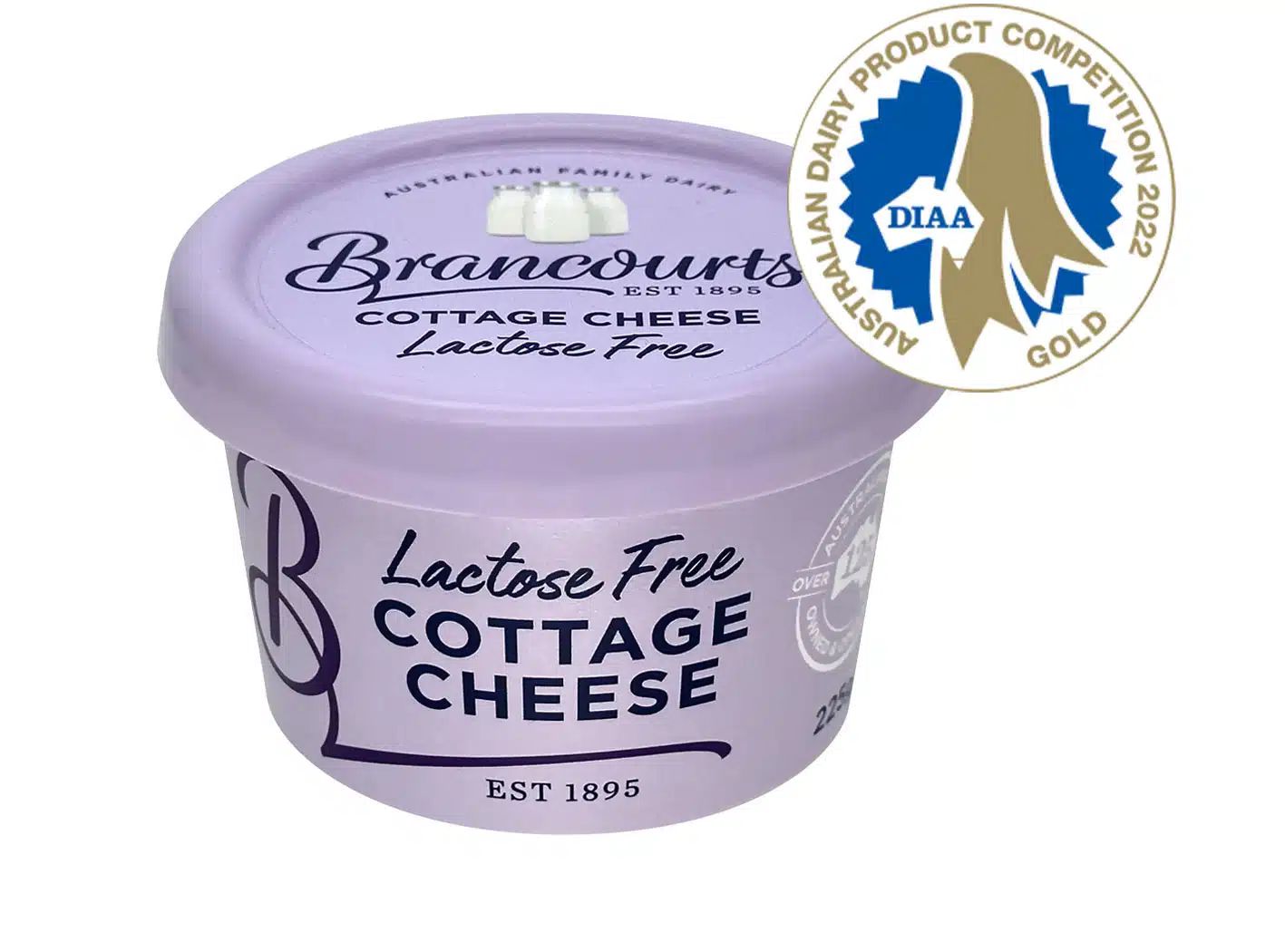 Lactose Intolerant? Discover If You Can Eat Cottage Cheese